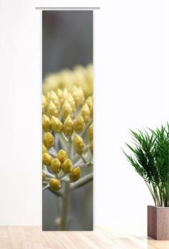Flächenvorhang Helichrysum , Schiebevorhang, Schiebegardine, modern, 60 cm breit, 2,65 m hoch, 3 m hoch