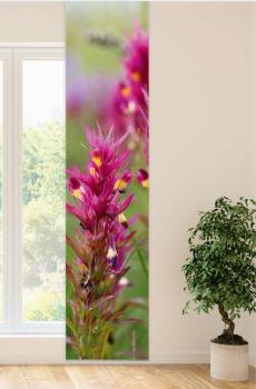 Flächenvorhang Wachtelweizen, Schiebevorhang, Schiebegardine, modern, 60 cm breit, 2,