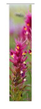 Preview: Flächenvorhang Wachtelweizen, Schiebevorhang, Schiebegardine, modern, 60 cm breit, 2,