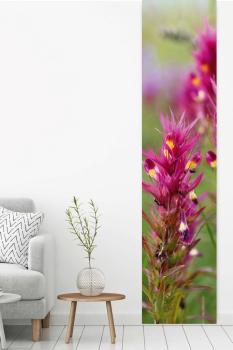 Preview: Flächenvorhang Wachtelweizen, Schiebevorhang, Schiebegardine, modern, 60 cm breit, 2,