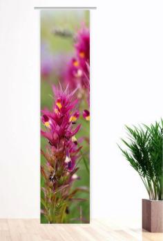 Preview: Flächenvorhang Wachtelweizen, Schiebevorhang, Schiebegardine, modern, 60 cm breit, 2,