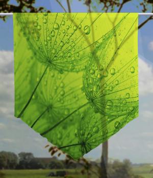 Scheibenhänger transparent Dream Green voile