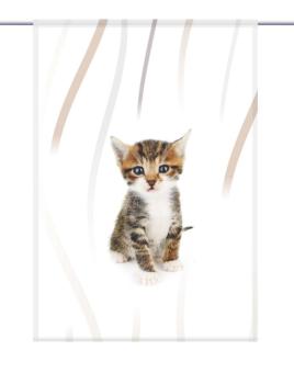 Preview: Scheibenhänger Findus vertic – rechteckig