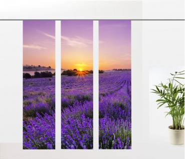 Flächenvorhang Lavendel, Provence - 3er - Serie,  Set 3tlg,