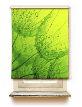 Rollo Dream Green
