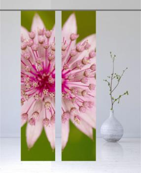 Flächenvorhang rosea flores 2er Serie - Set