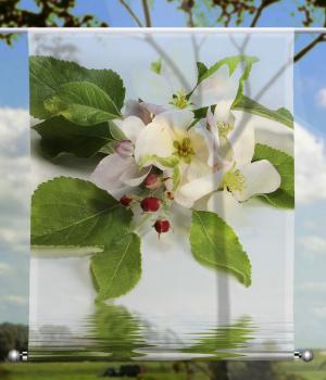 Scheibenhänger Apfelblüte- rechteckig, Beschw.