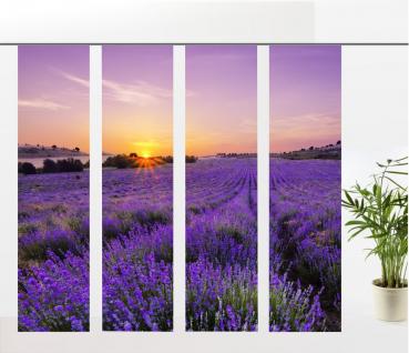 Flächenvorhang Lavendel, Provence - 4er - Serie,  Set 4tlg,