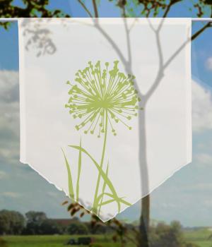 Allium-24 blanco-apfel, Scheibenhänger spitz