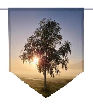 Preview: Nebelherbst, Scheibenhänger spitz