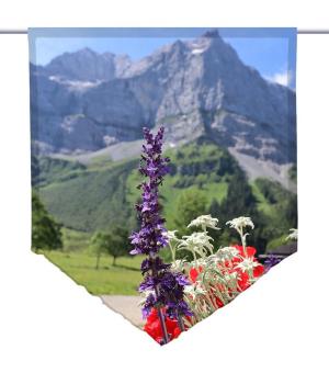 Sommererlebnis-Berge, Scheibenhänger spitz