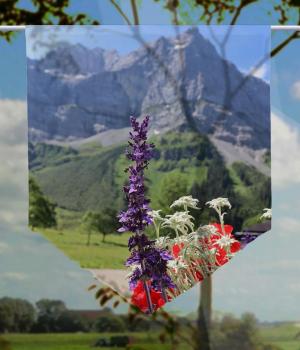 Sommererlebnis-Berge, Scheibenhänger spitz