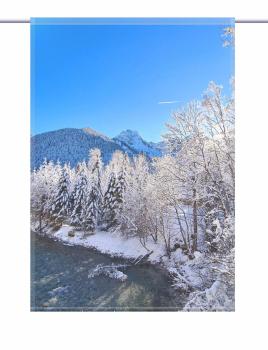 Scheibenhaenger-Winterblick--rechteckig