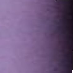 Darkflieder 08