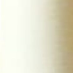 Creme 01