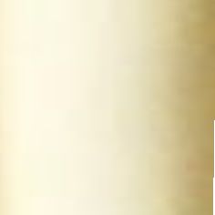 Creme 02