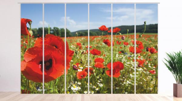 Mohnsommer 6er set