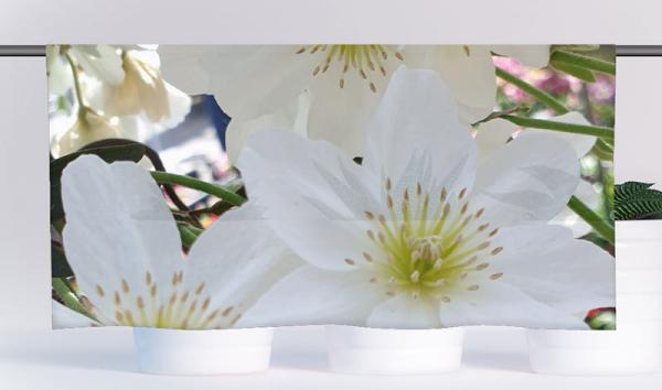 Cafehausgardine - Weiße Blüten