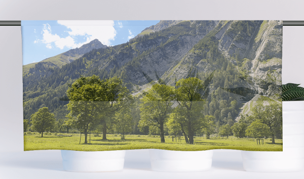 Cafehausgardine - Bergplantage