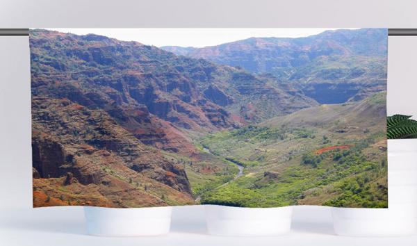 Cafehausgardine - Hawaiian valley