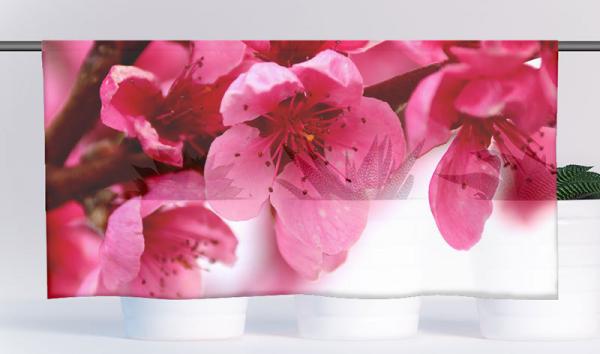 Cafehausgardine - rosa Frühlingszauber