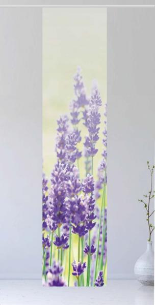 Flächenvorhang Der Lavendel - tone