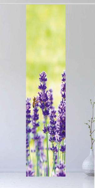 Flächenvorhang Der Lavendel 2