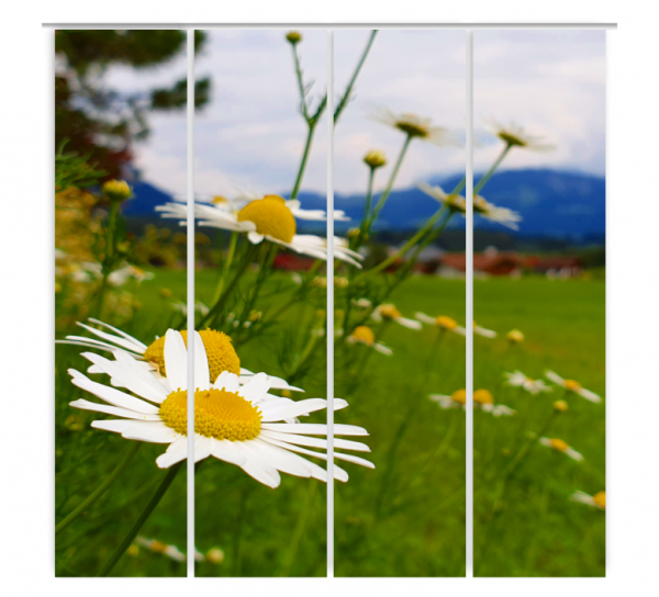 Flächenvorhang Bergblumen 4er, Schiebegardine, Set 4tlg