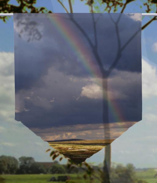 Scheibenhänger Lätt voile transparent