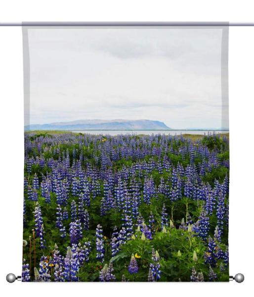 Lupinientraum Island, Scheibenhänger eckig