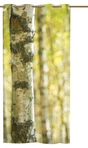 Ösenschal Frühlings Birkenwald - Ösenvorhang