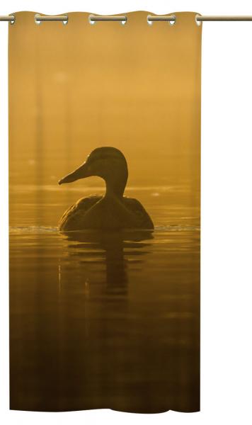 Ösenschal anas - Ösenvorhang