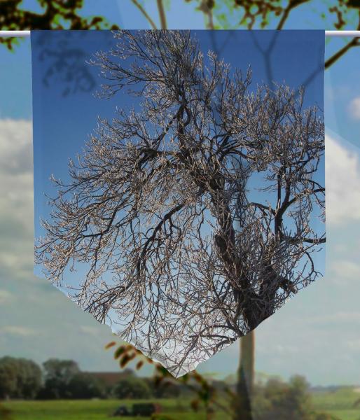 Scheibenhänger Eisbaum voile transparent