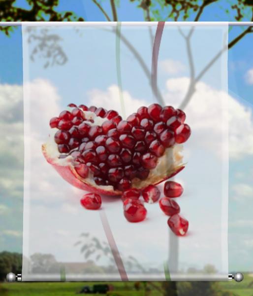 Scheibenhänger Früchtchen Granatapfel transparent eckig