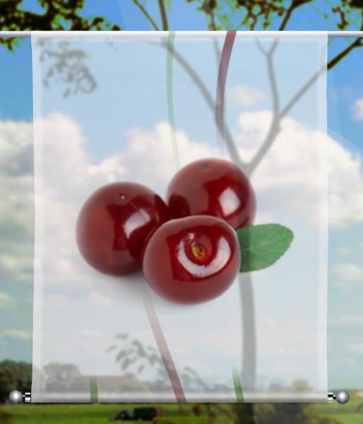 Scheibenhänger transparent eckig Früchtchen Kirsche 2