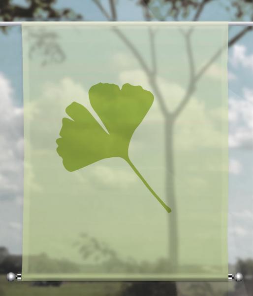 Scheibenhänger transparent Ginkgo foliorum green one- rechteckig