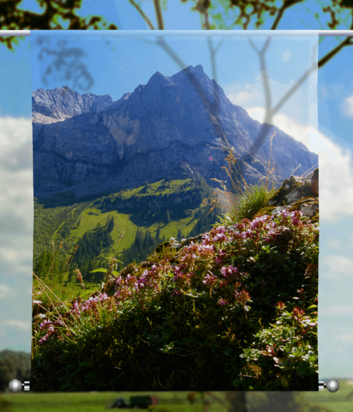 Scheibenhänger transparent  rechteckig Alpenblumen