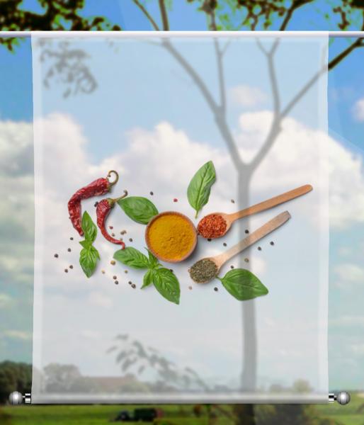 Scheibenhänger transparent  rechteckig Küchenfreunde Curry