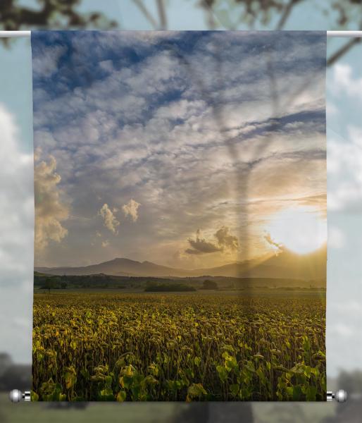 Scheibenhänger transparent Sonnenblumenmeer rechteckig