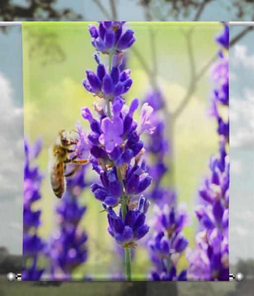 Scheibenhänger transparent der lavendel 2- rechteckig