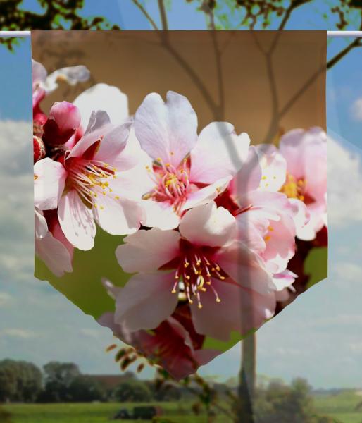 Scheibenhänger Primavera rosa voile transparent