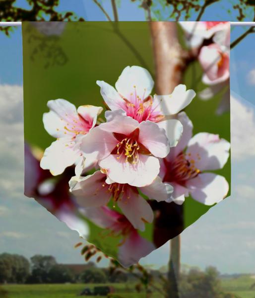 Scheibenhänger pink spring voile transparent