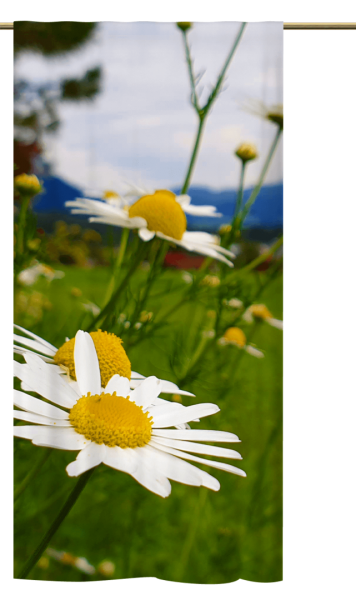 Schlaufenschal Bergblumen