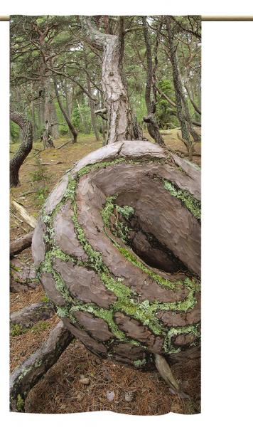 Schlaufenschal Zauberwald