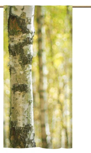 Schlaufenschal Frühlings Birkenwald