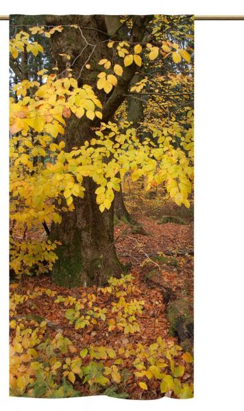 Schlaufenschal Schieferherbst