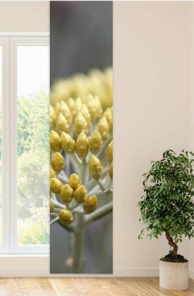 Flächenvorhang Helichrysum , Schiebevorhang, Schiebegardine, modern, 60 cm breit, 2,65 m hoch, 3 m hoch