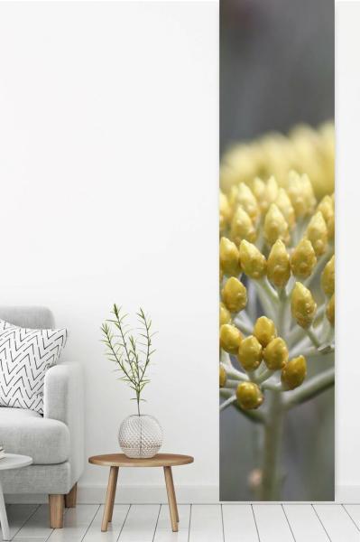 Flächenvorhang Helichrysum , Schiebevorhang, Schiebegardine, modern, 60 cm breit, 2,65 m hoch, 3 m hoch
