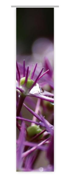 Flächenvorhang Sternkugel, Schiebevorhang, Schiebegardine, modern, 60 cm breit,