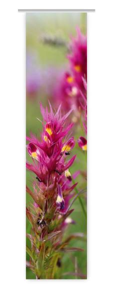 Flächenvorhang Wachtelweizen, Schiebevorhang, Schiebegardine, modern, 60 cm breit, 2,